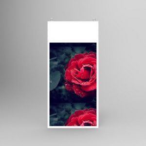 Digital standee display SH4988AIO