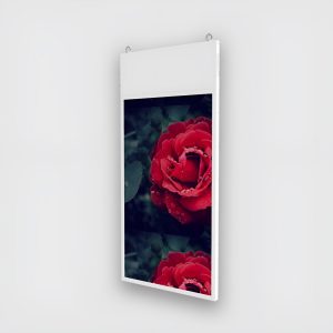 hanging plate display