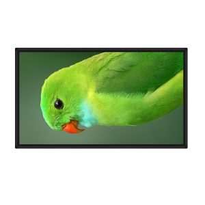 Wall mount display SH6509DS
