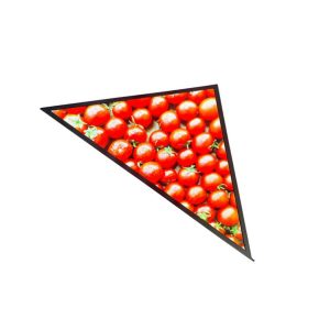 Special shaped Display triangle LCD monitor SH1814AD