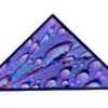 Triangle Digital Advertising Displays