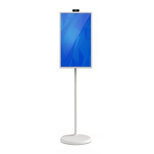 Portable smart tv